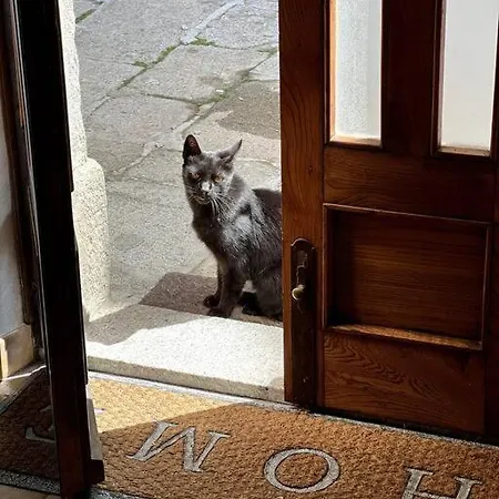 Dream House, 80m2, Fresco Painting On The Vault